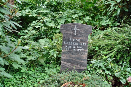 friedhof-niehl