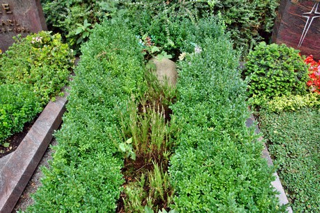 friedhof-niehl