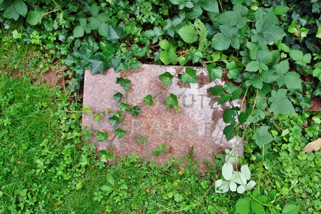 friedhof-niehl