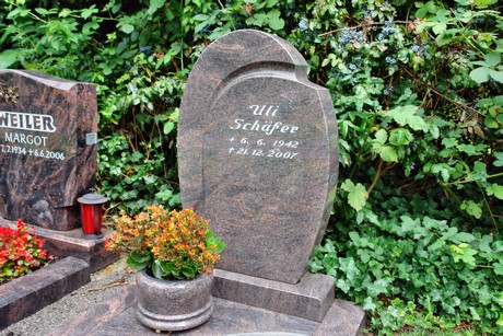 friedhof-niehl
