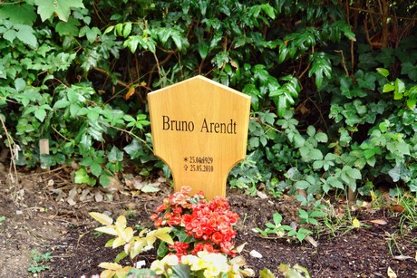 friedhof-niehl