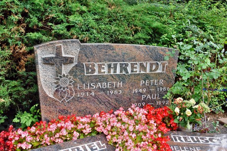 friedhof-niehl