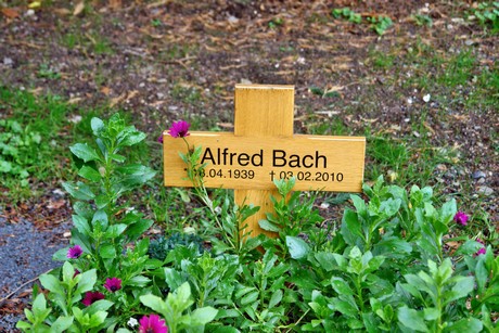 friedhof-niehl