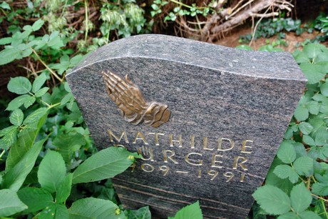 friedhof-niehl