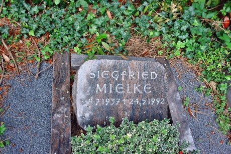 friedhof-niehl