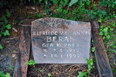 friedhof-niehl