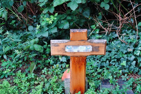 friedhof-niehl