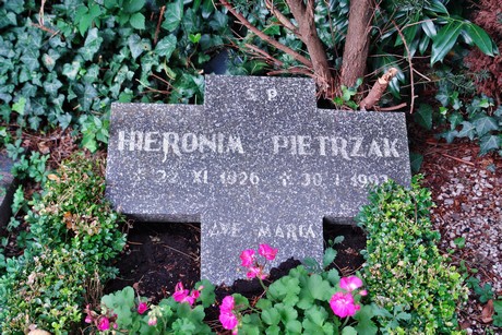 friedhof-niehl