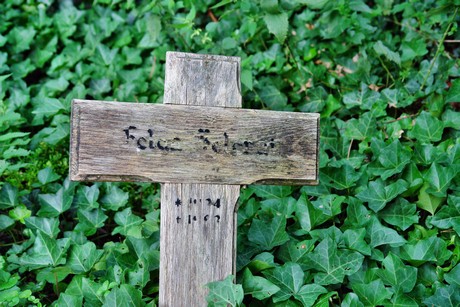 friedhof-niehl