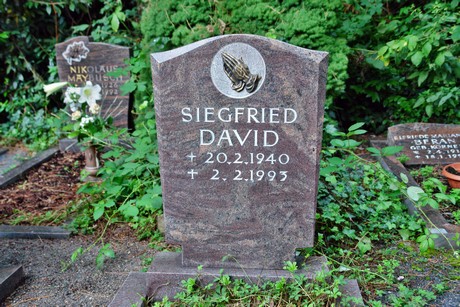 friedhof-niehl