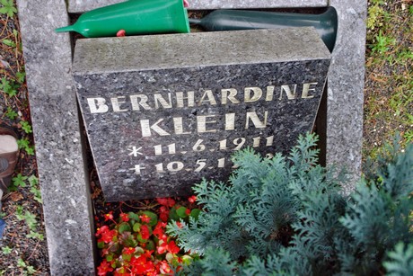 friedhof-niehl