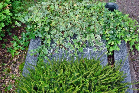 friedhof-niehl