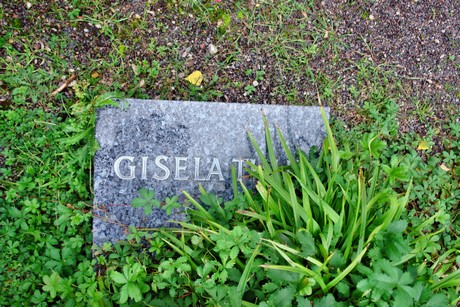 friedhof-niehl