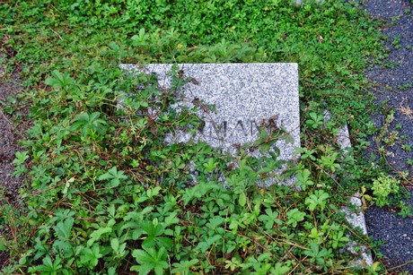 friedhof-niehl