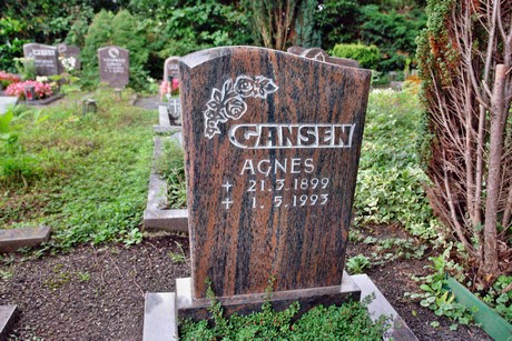friedhof-niehl
