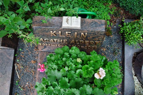 friedhof-niehl