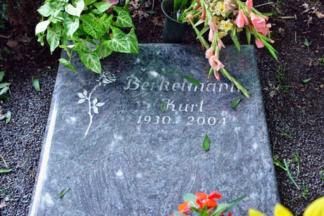 friedhof-niehl