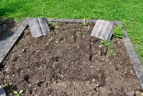 friedhof-niehl