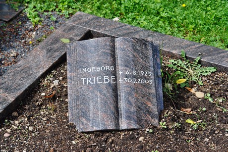 friedhof-niehl