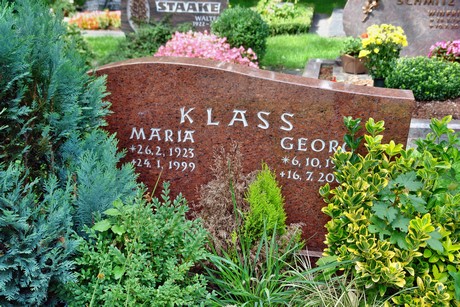 friedhof-niehl