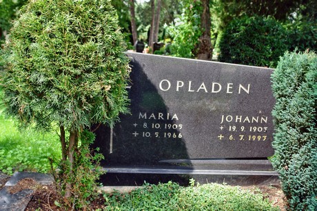 friedhof-niehl