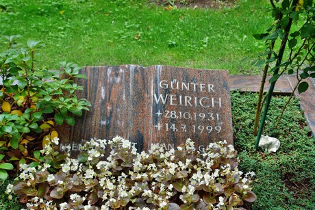 friedhof-niehl