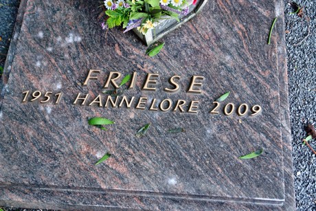 friedhof-niehl