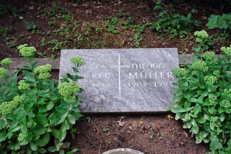 friedhof-niehl