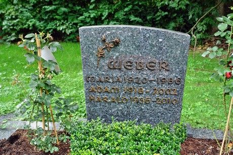 friedhof-niehl