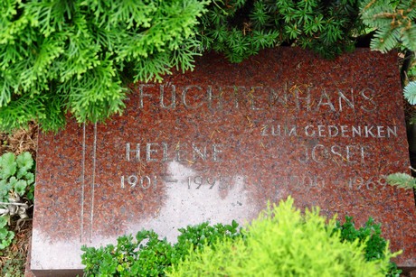 friedhof-niehl