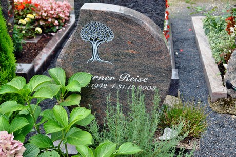 friedhof-niehl