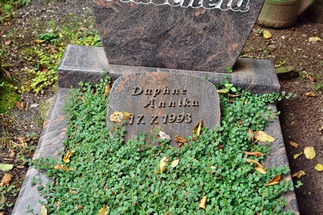 friedhof-niehl