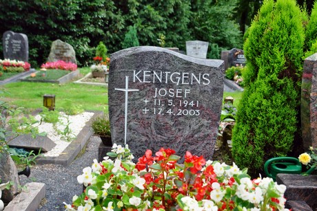friedhof-niehl