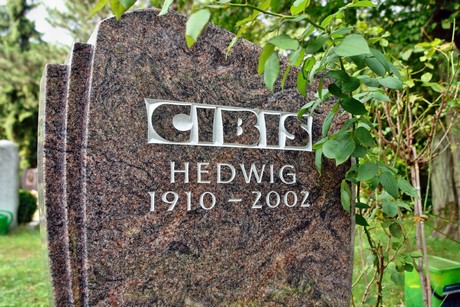 friedhof-niehl