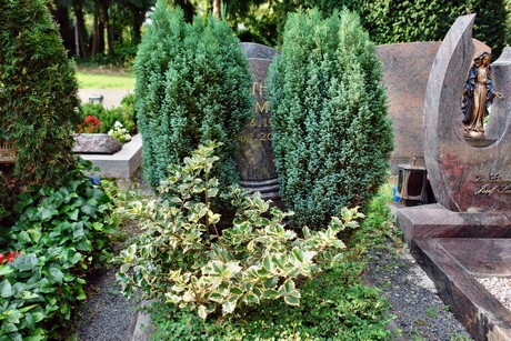 friedhof-niehl