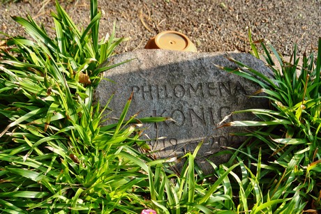 friedhof-niehl