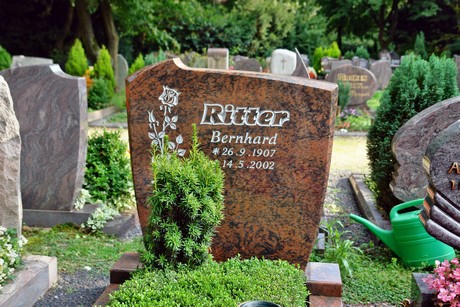 friedhof-niehl