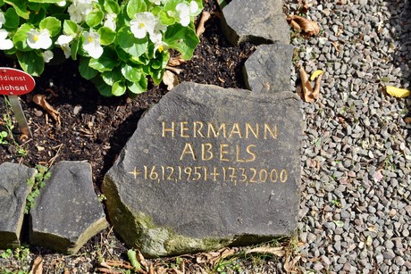 friedhof-niehl