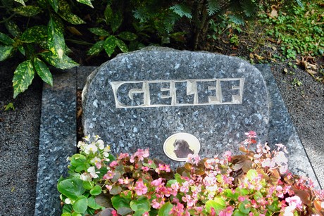 friedhof-niehl