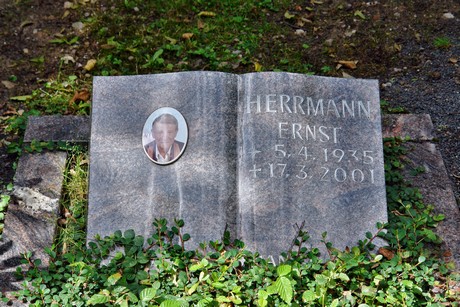 friedhof-niehl