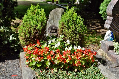 friedhof-niehl