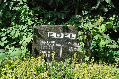 friedhof-niehl