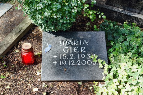 friedhof-niehl