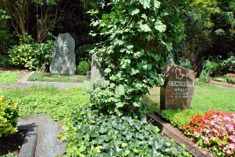 friedhof-niehl