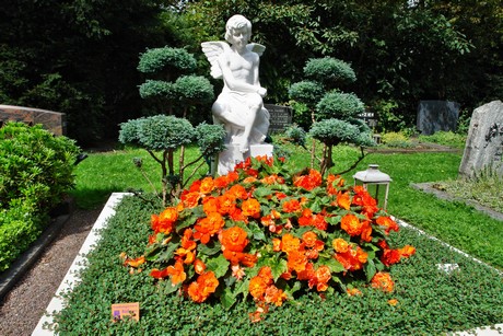 friedhof-niehl