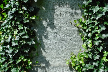 friedhof-niehl
