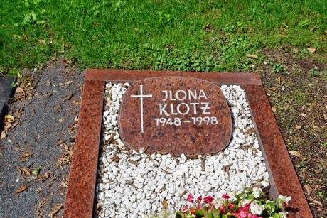 friedhof-niehl