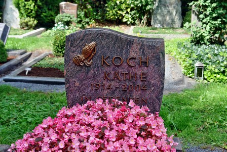 friedhof-niehl