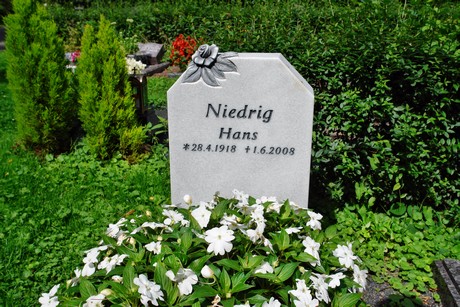 friedhof-niehl