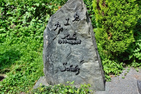 friedhof-niehl